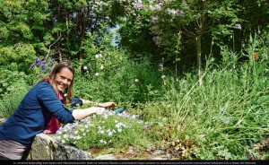 Handarbeit statt chemische Keule